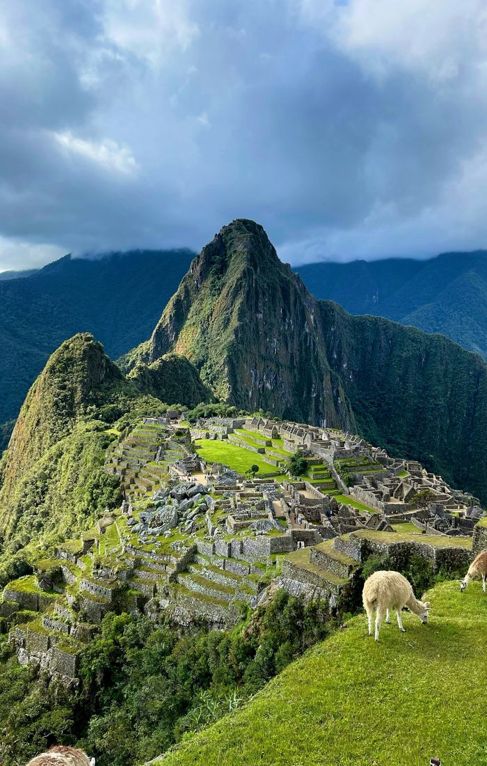 Machu Picchu under a cloudy sky, with lush green terraces and llamas grazing in the foreground. Majestic mountains surround the ancient site.
