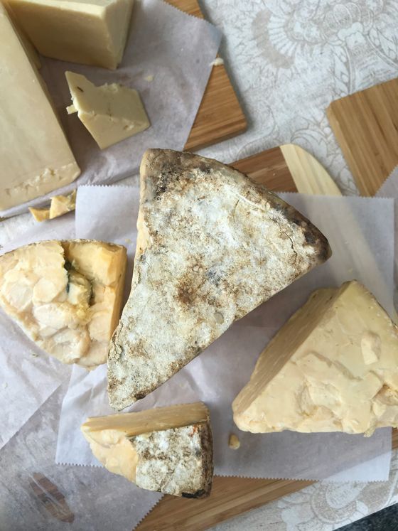 Assorted cheese wedges on parchment paper atop wooden boards, showcasing various textures and colors, including a moldy rind.