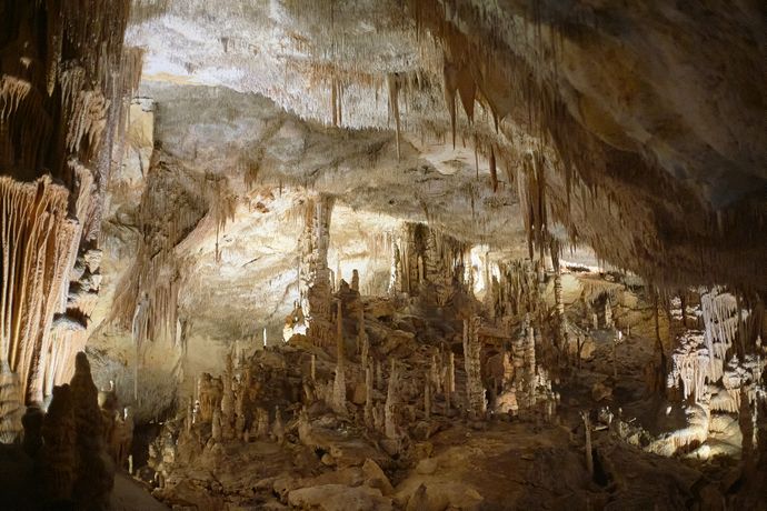 A dimly lit cave interior with numerous stalactites hanging from the ceiling and stalagmites rising from the ground.