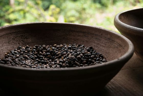A clay bowl filled with roasted coffee beans sits on a wooden surface, with a blurred green background in the distance.