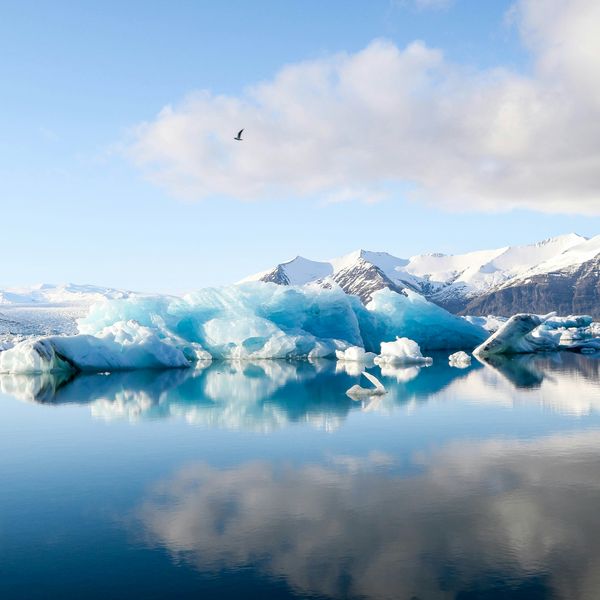 A serene landscape of icebergs floating on calm water, with snowy mountains and a bird in the sky under a partly cloudy blue sky.