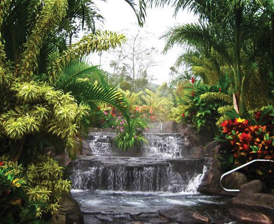 Lush tropical garden with a small waterfall cascading into a rocky pool, surrounded by vibrant green foliage and colorful flowers.