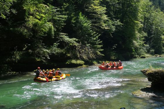 Two groups of people in life vests are rafting on a clear, green river surrounded by lush, dense forest.