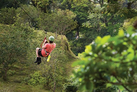 Person zip-lining through a lush, green forest, wearing a helmet and harness. Another zip-liner is visible in the background.