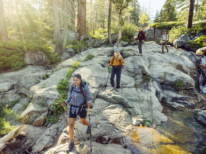 A group of hikers with backpacks and trekking poles walk over rocky terrain through a sunlit forest, next to a small stream.