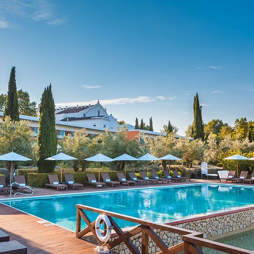 Outdoor pool with surrounding lounge chairs and umbrellas, set in a landscaped garden with tall trees and a building in the background under a clear sky.