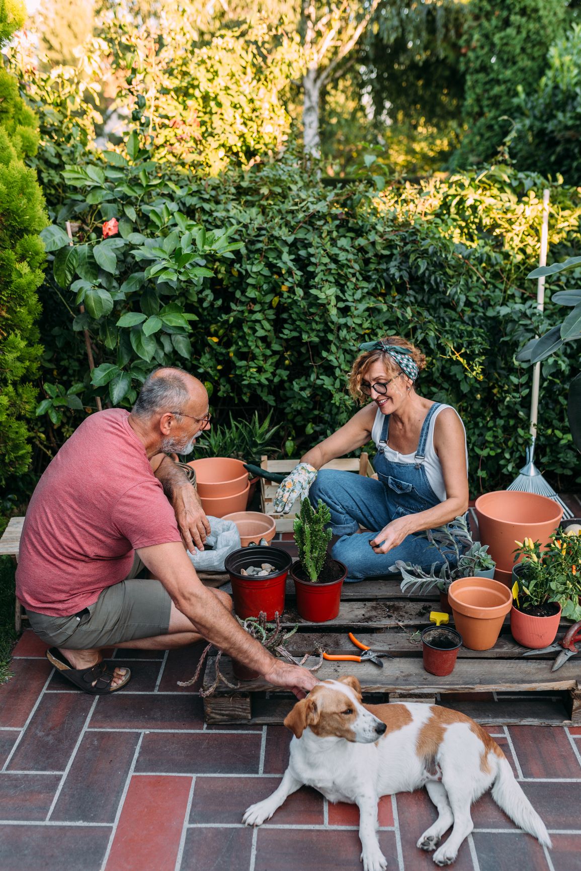 Two people gardening