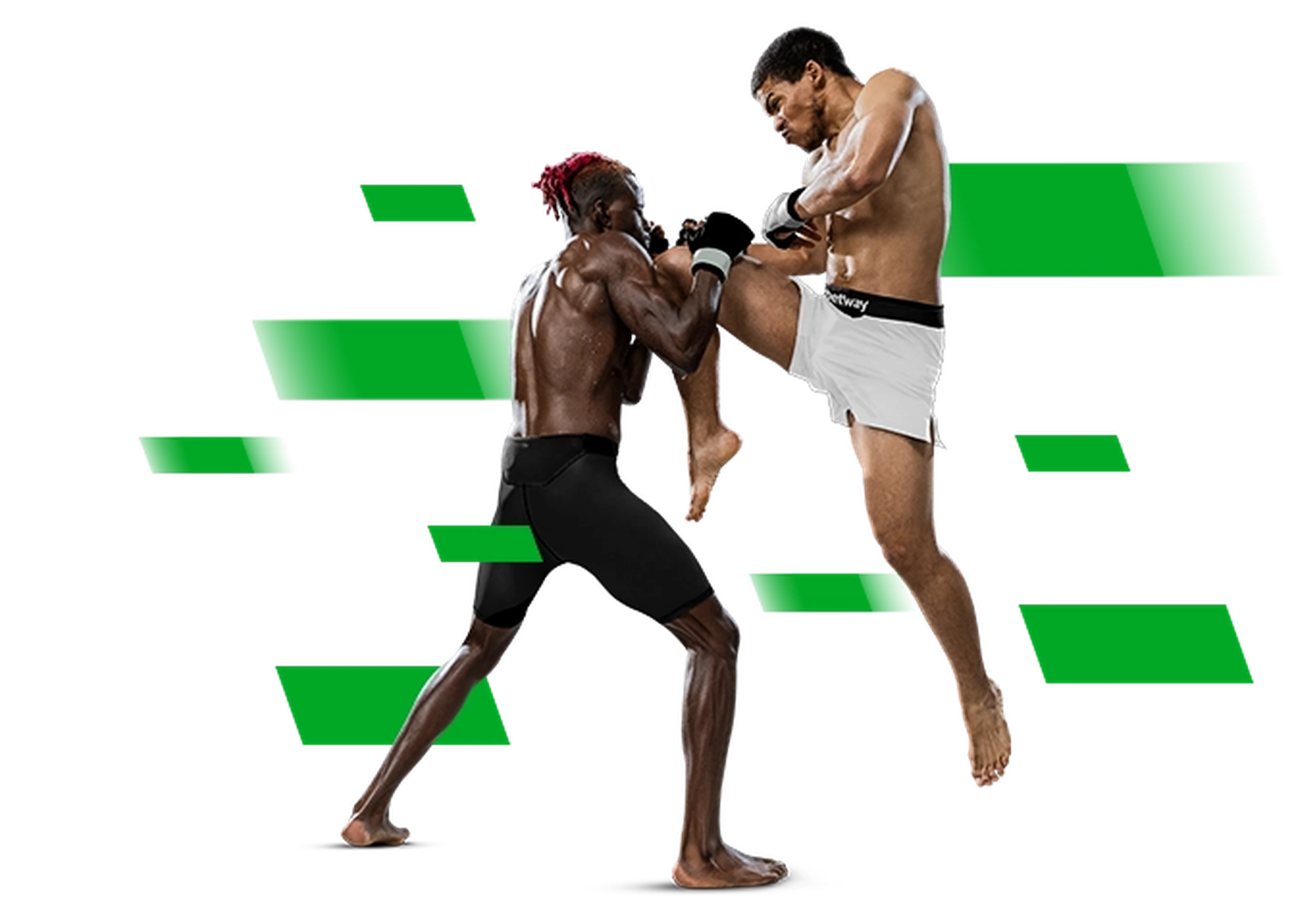 UFC Hero