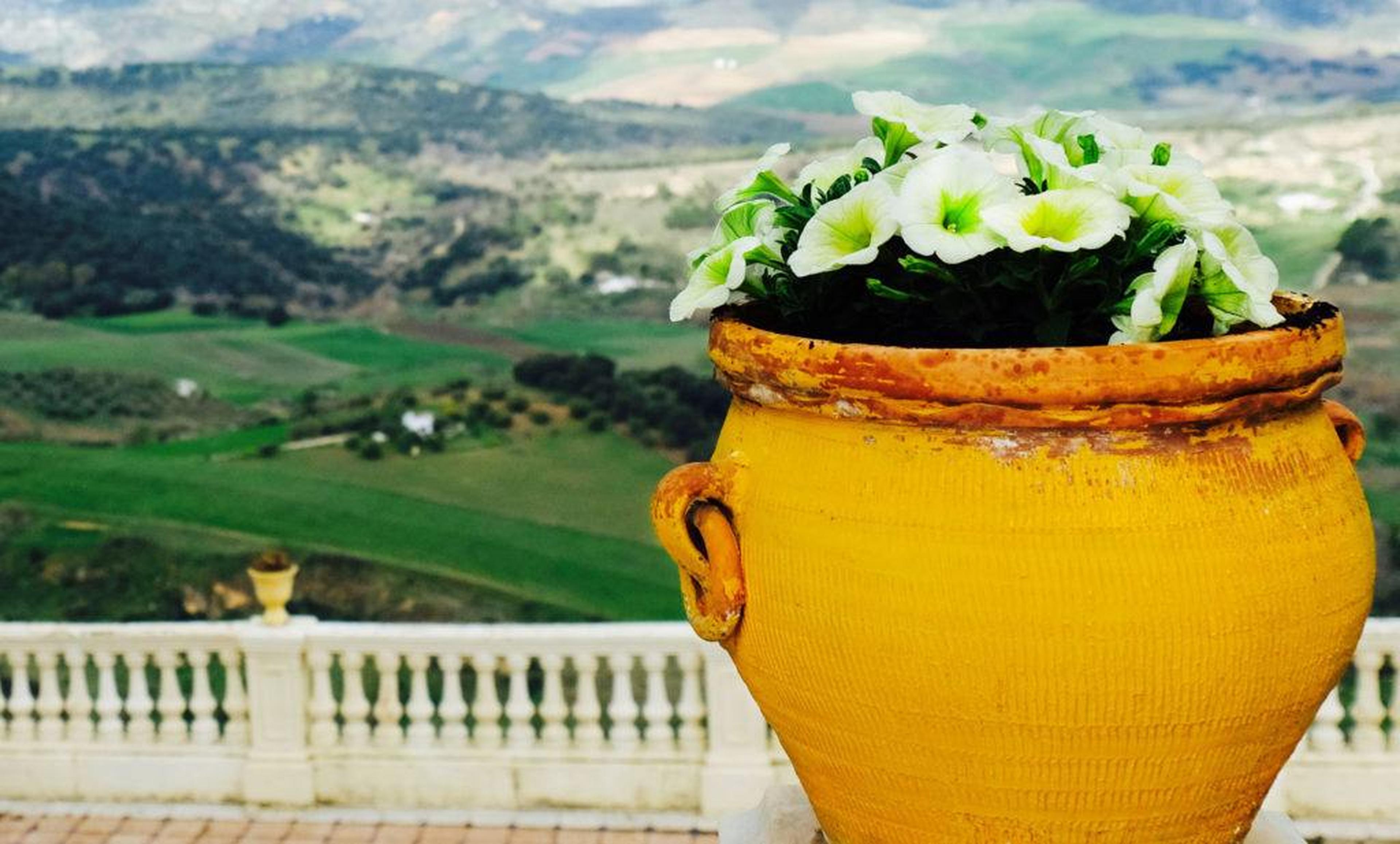 flower pot with green mountains and white fence in background