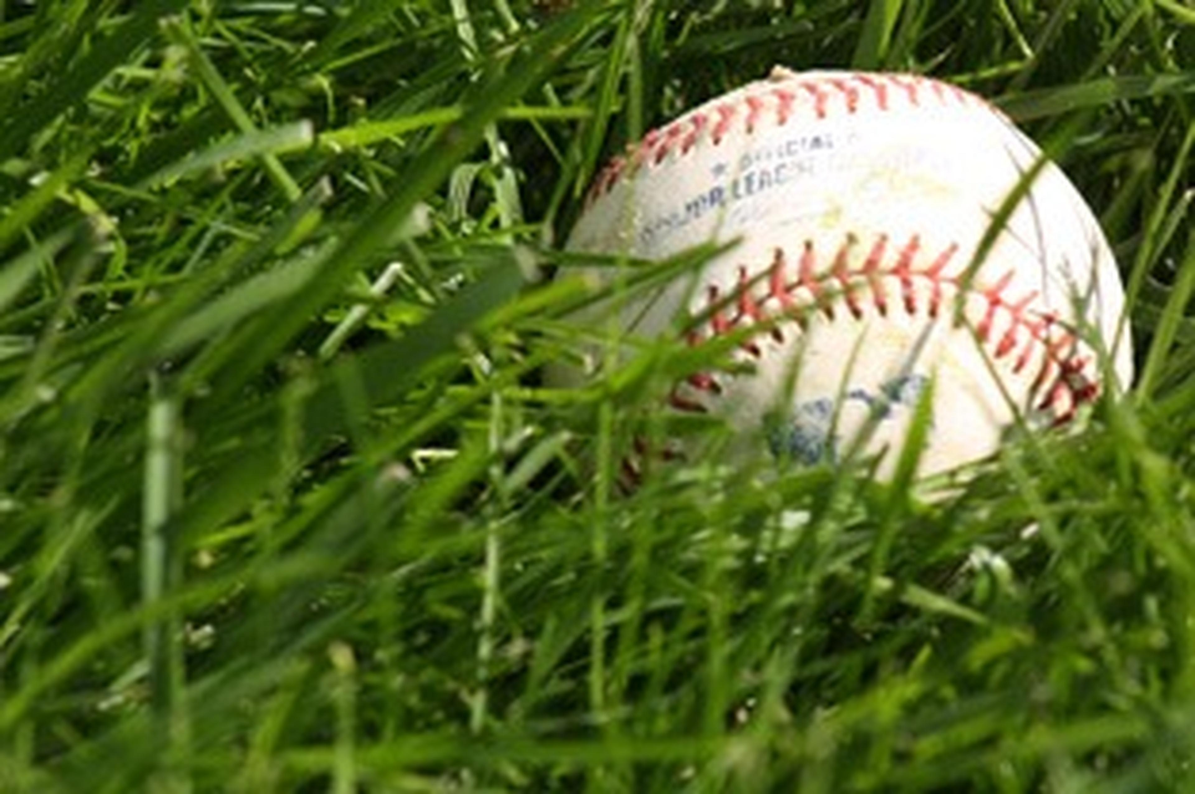 baseball in grass