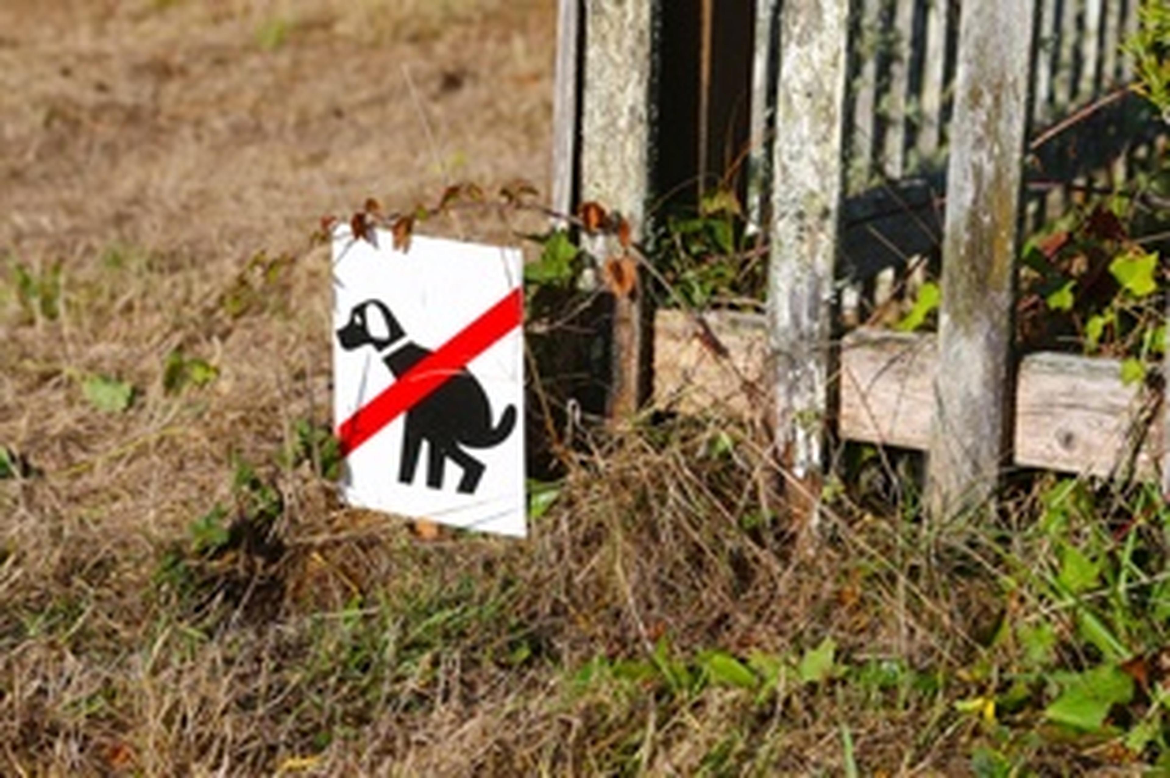 no dogs pooping sign leaned up against a fence