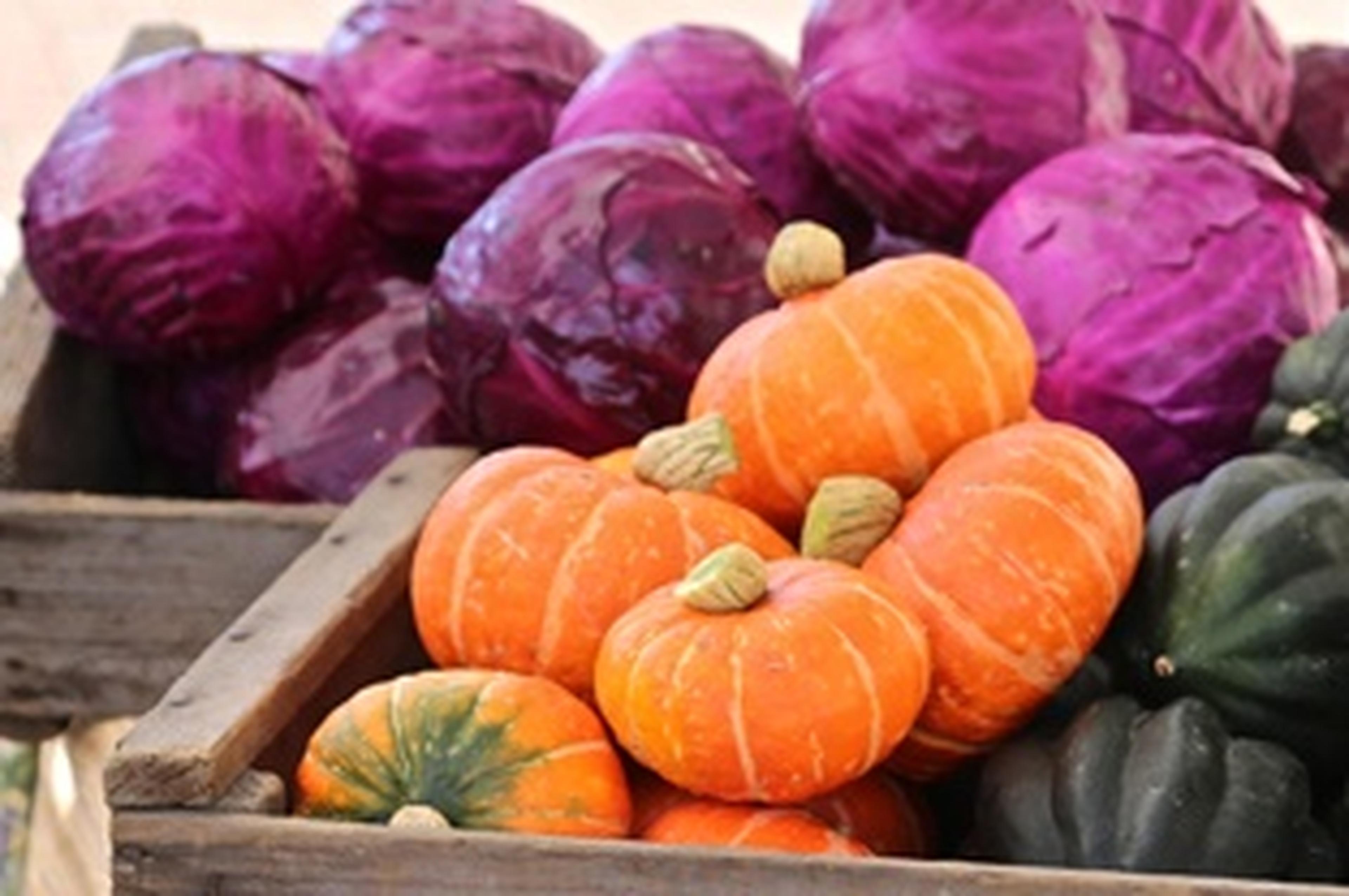 pumpkins and squash at farmers market