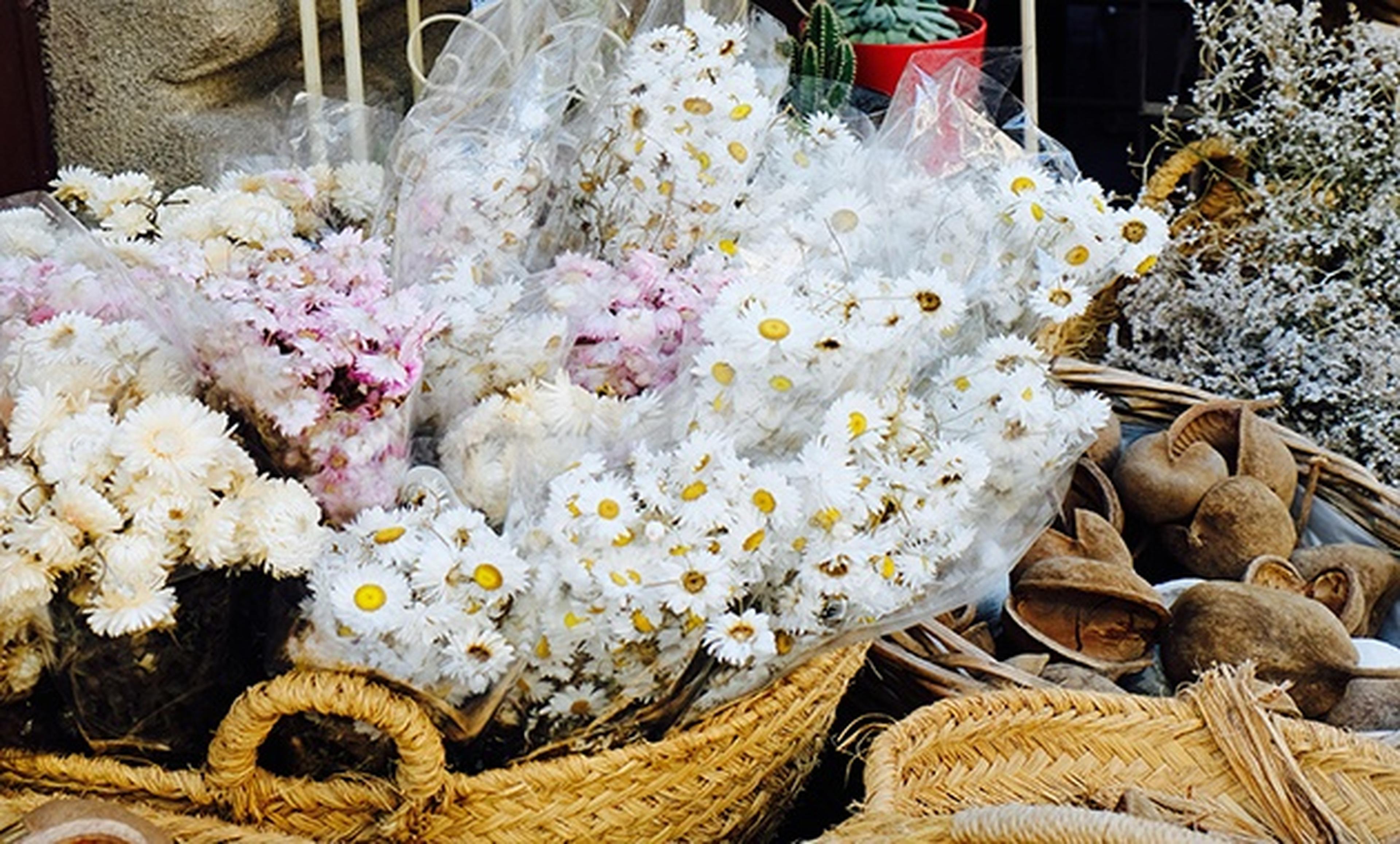 flowers in baskets