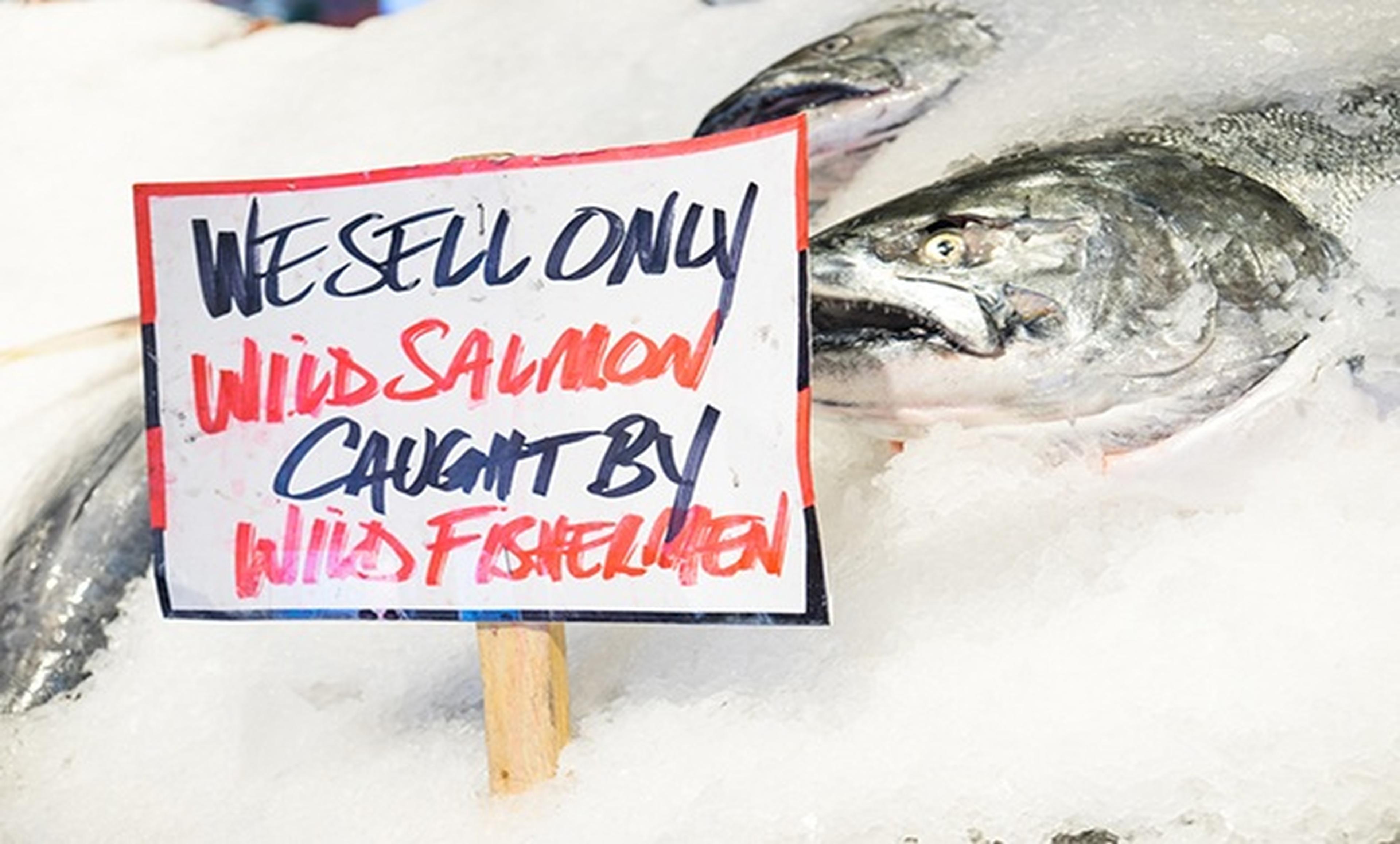wild caught salmon at fish market on ice