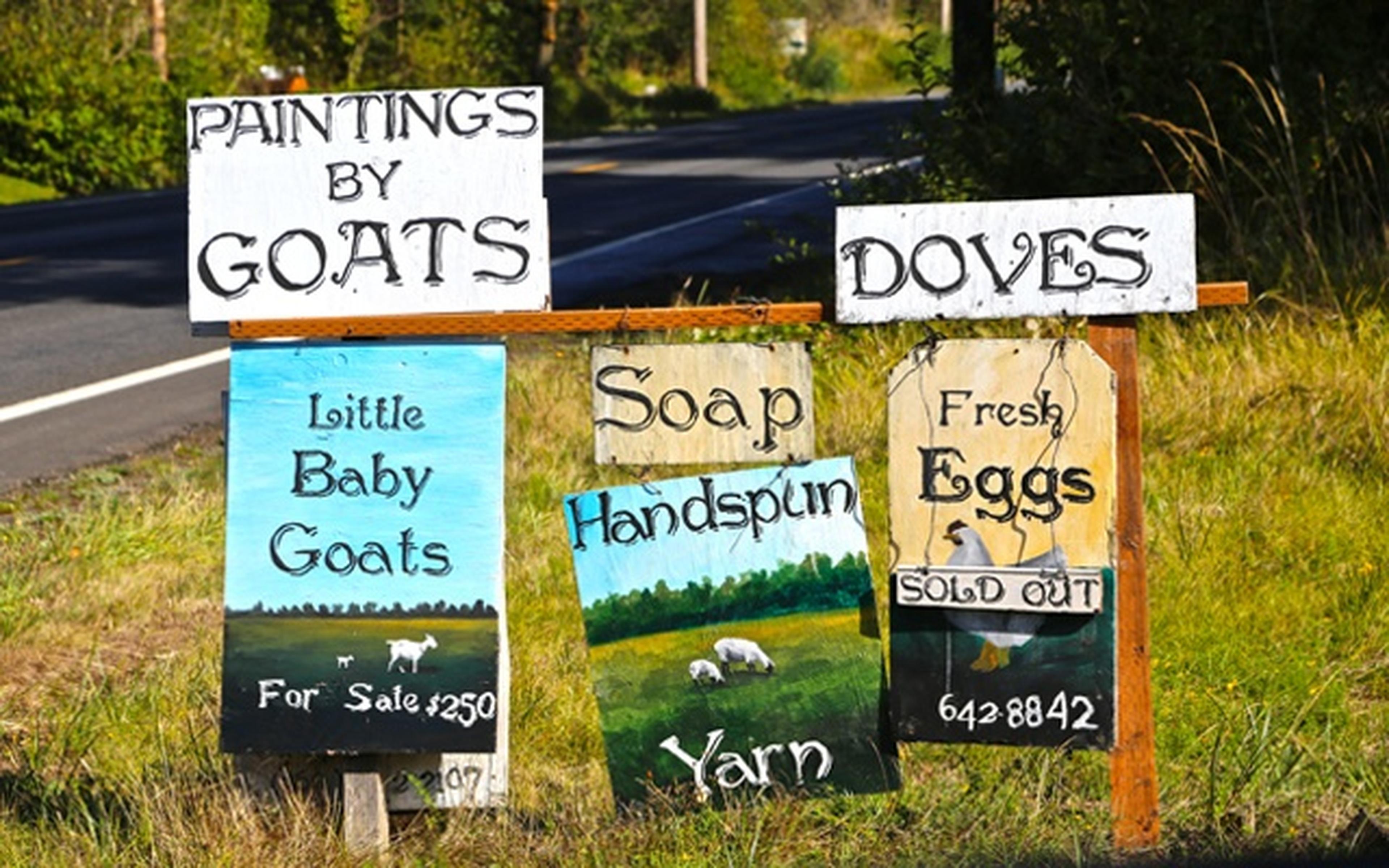 roadside farm store signs