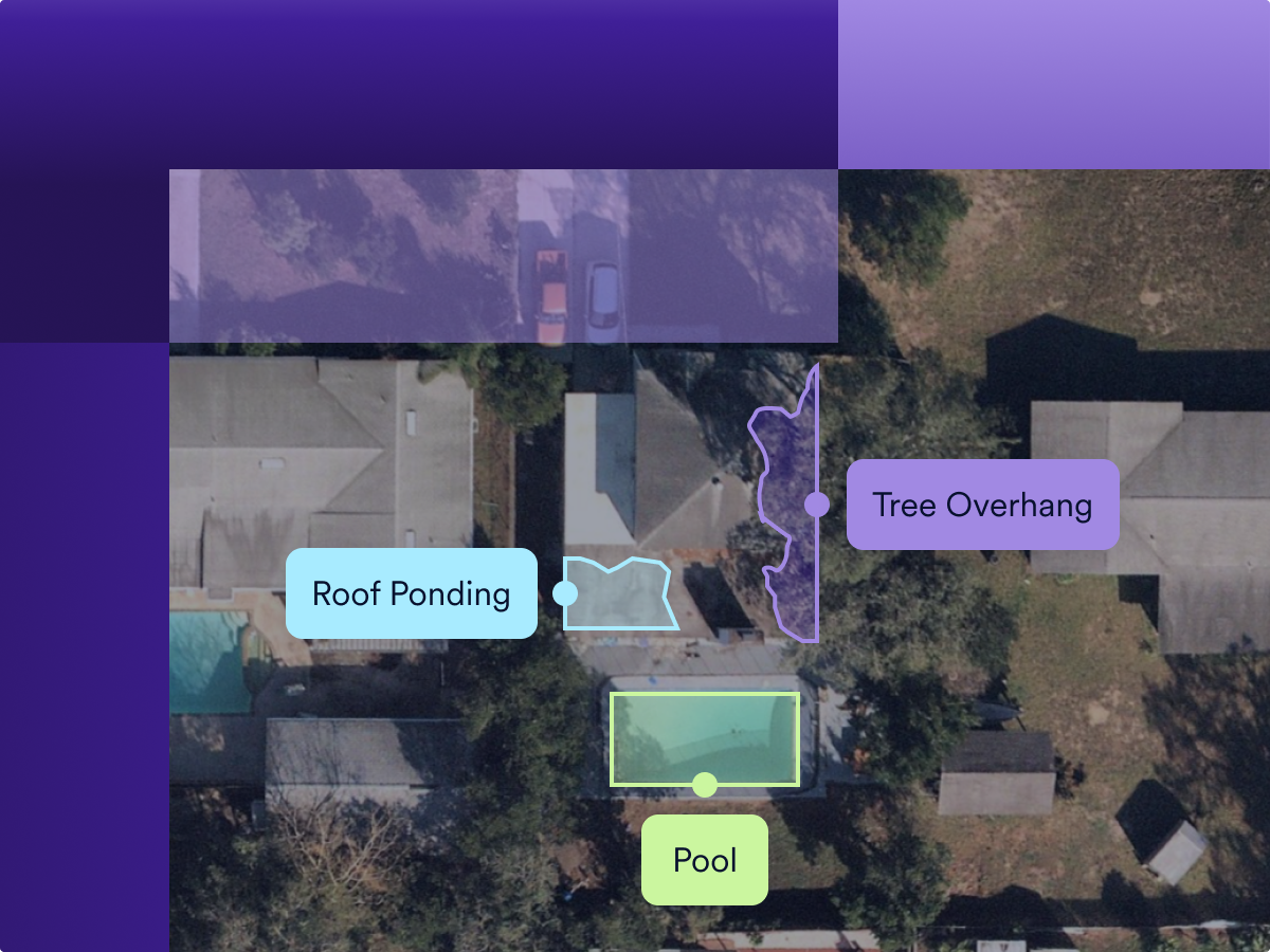 Property Intelligence – Insights