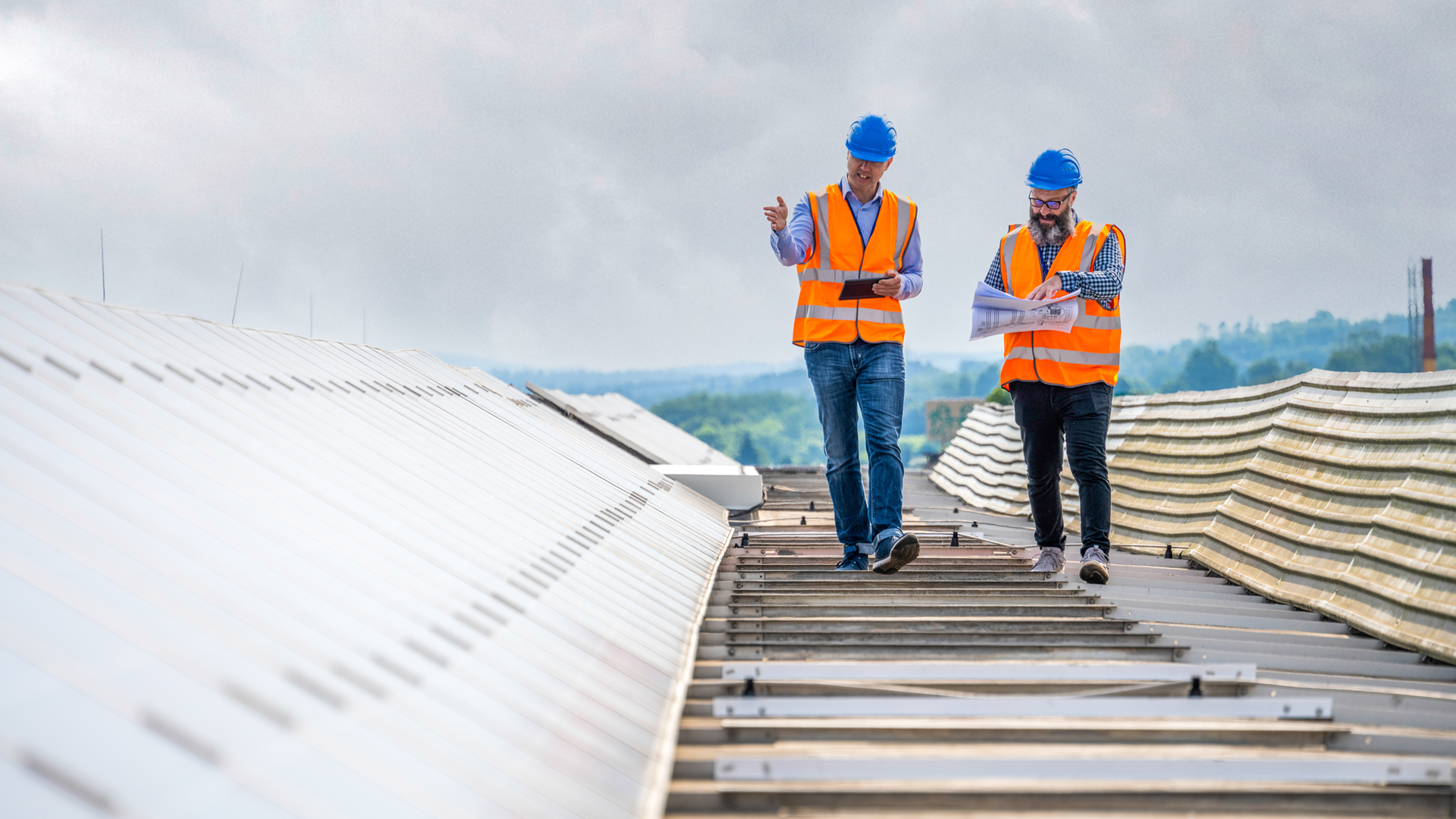 Roof Assessment