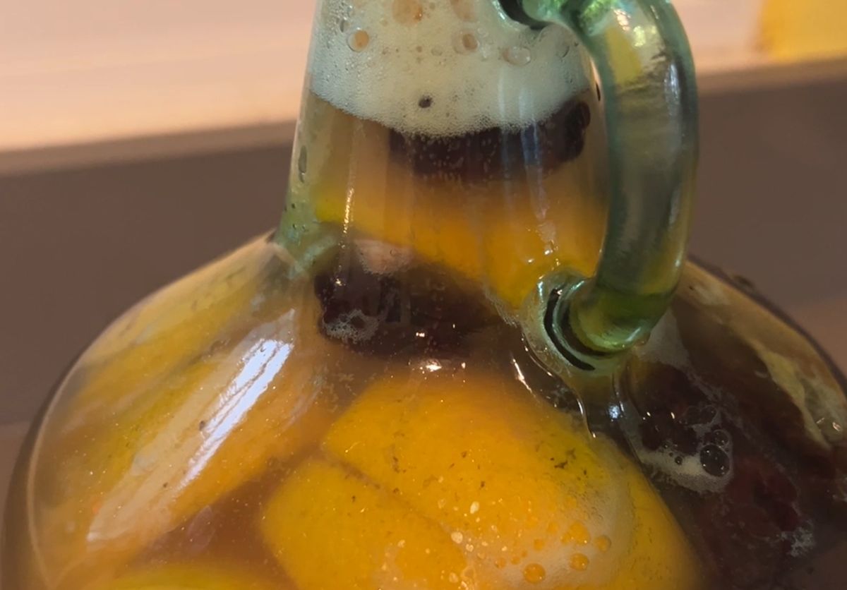 A closeup of a glass carboy full of fresh new mead, fermenting. Some orange slices and blackberries are visible in the neck.