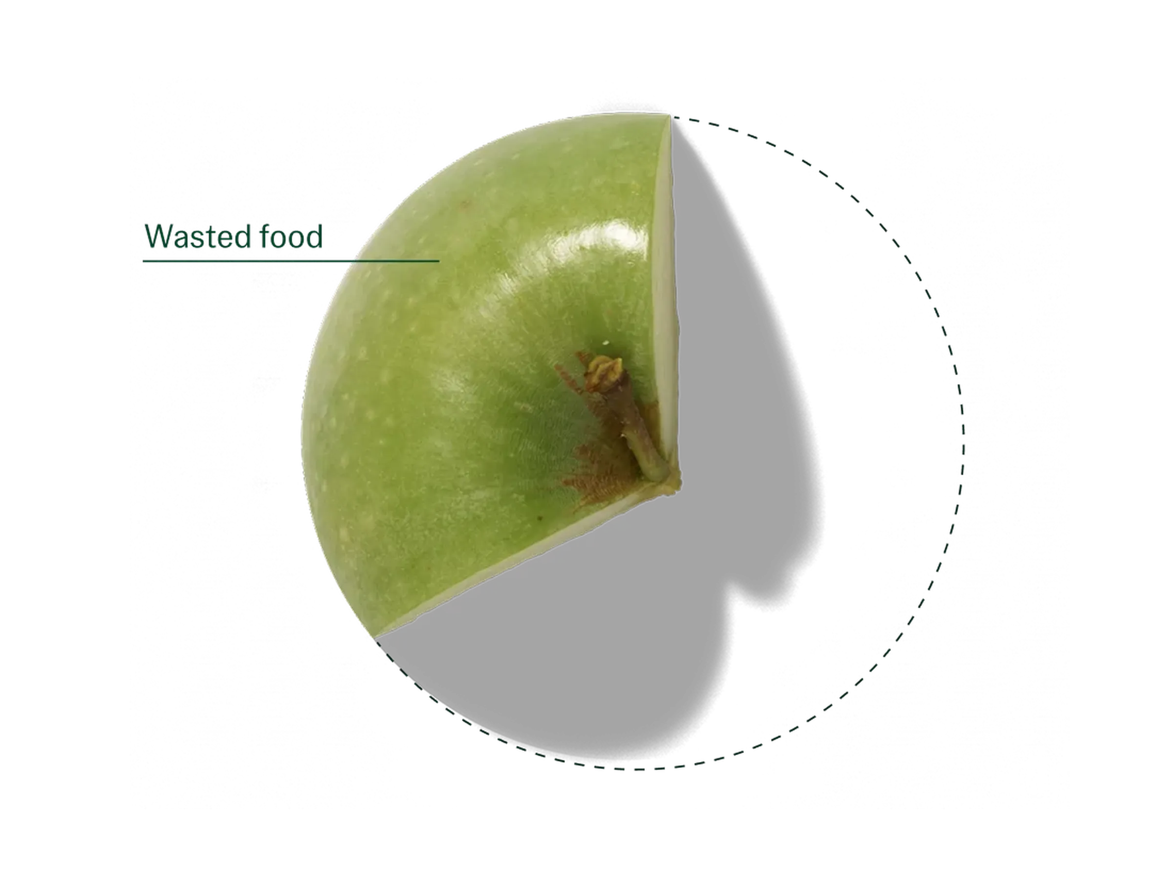 A cut apple with the browned, uneaten portion annotated as wasted food
