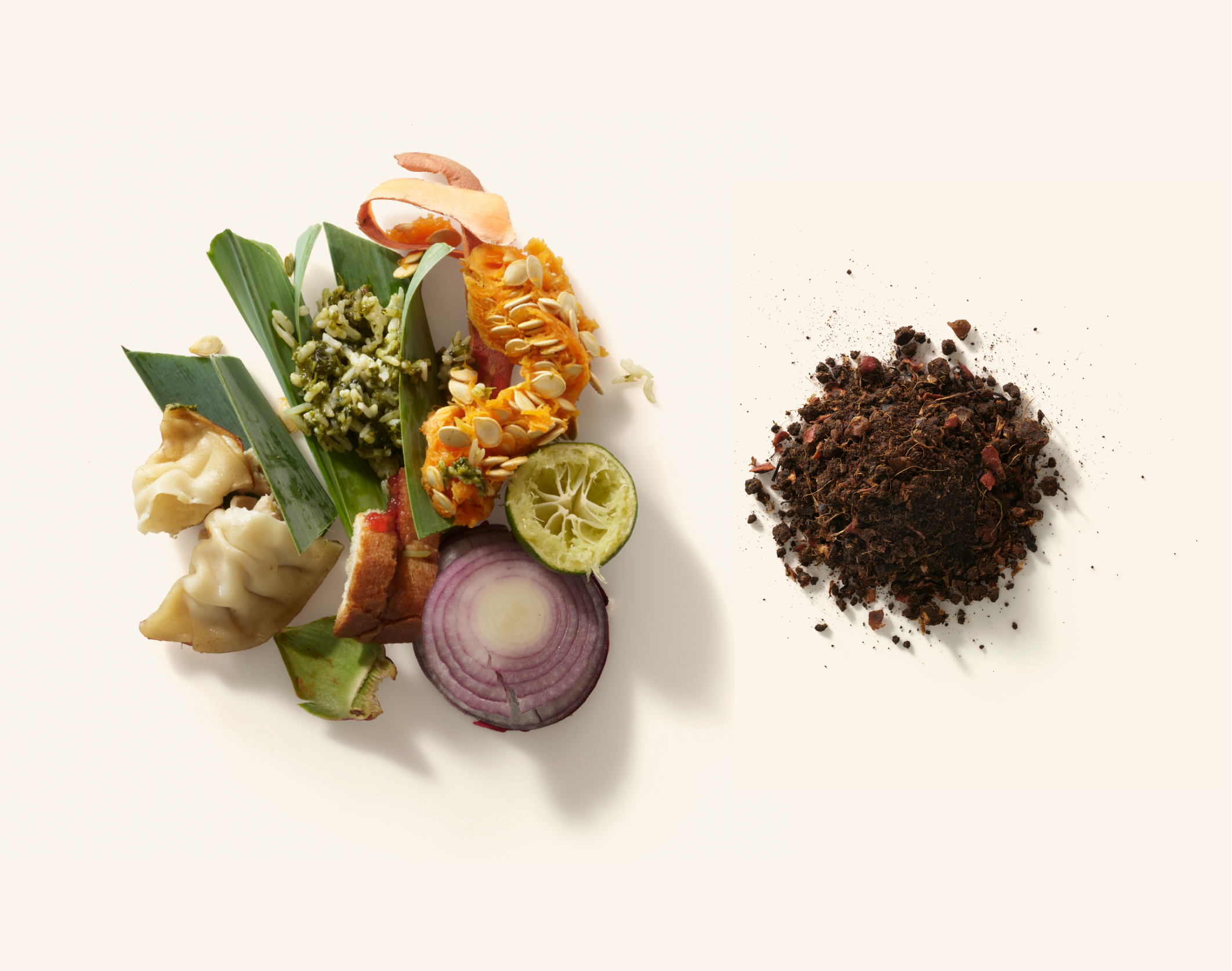 What Is Composting and How Does It Work?