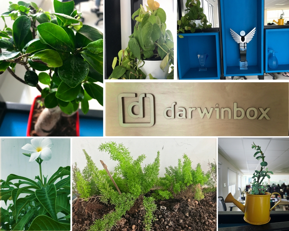 Darwinbox-Office-Hyderabad