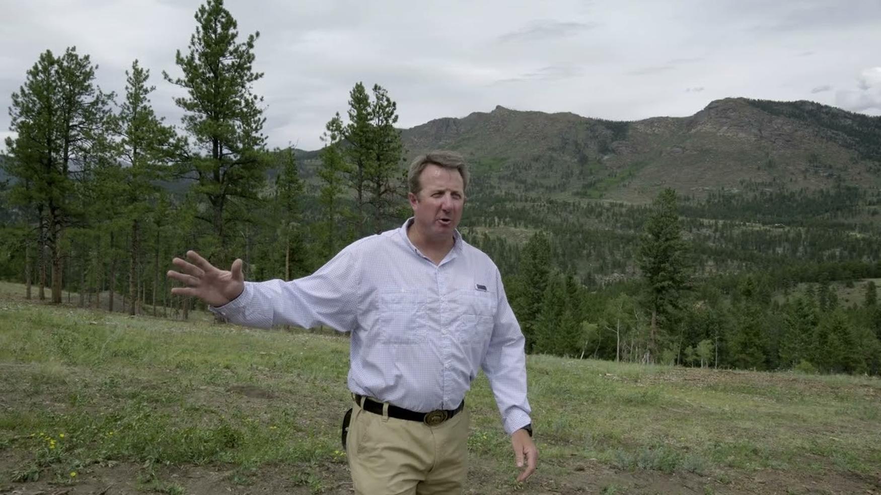 Charm x Altitude Forestry 2024