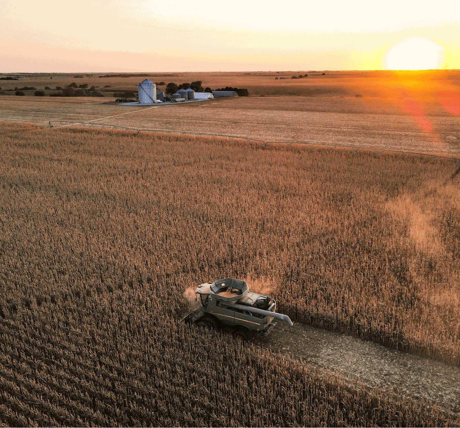 A combine harvester works through a vast golden cornfield at sunset, with silos in the distance under a clear sky.