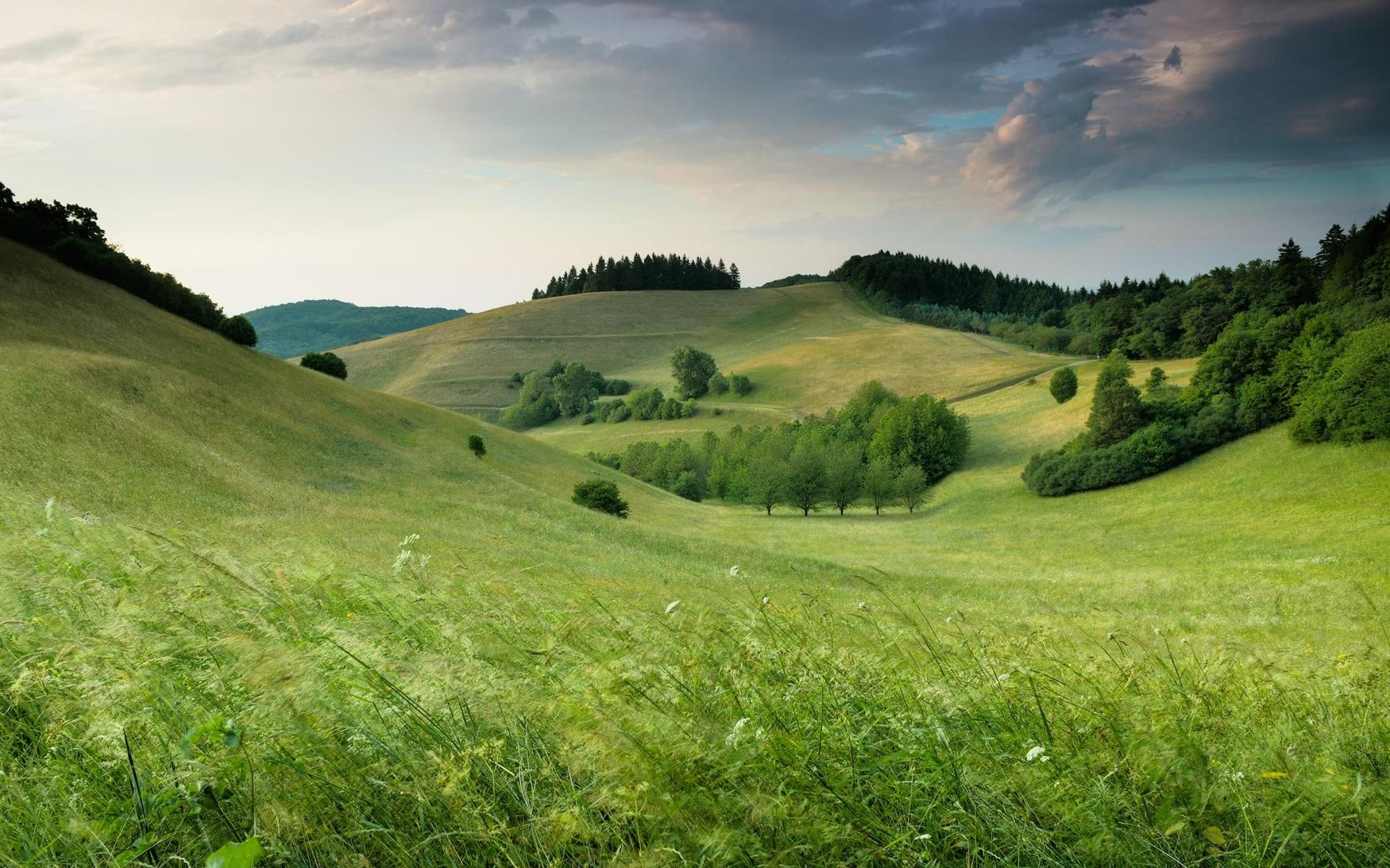 Rolling green hills with scattered trees under a cloudy sky, creating a serene landscape with a distant forested horizon.