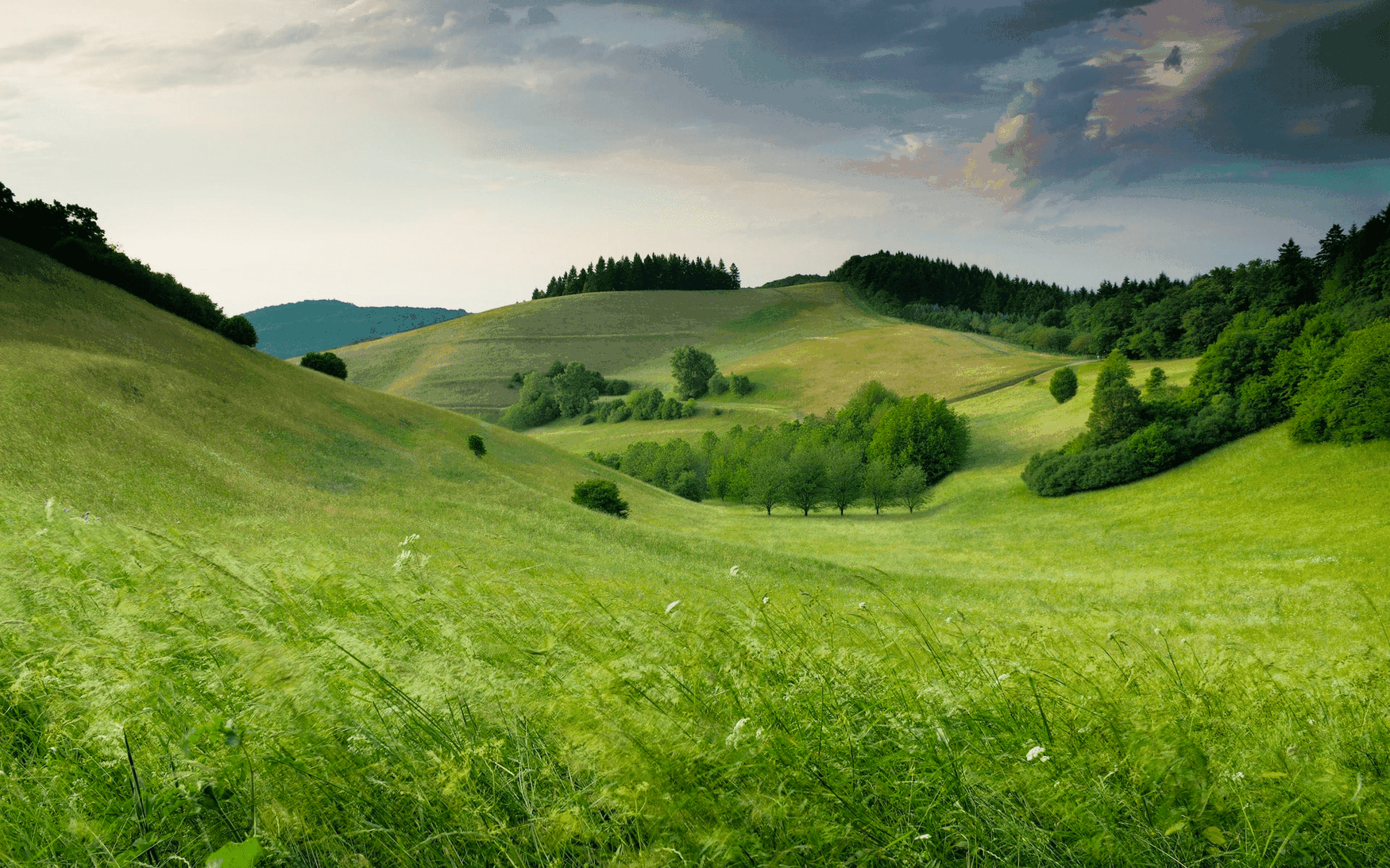 A serene landscape of rolling green hills with scattered trees under a partly cloudy sky, creating a peaceful and lush scene.