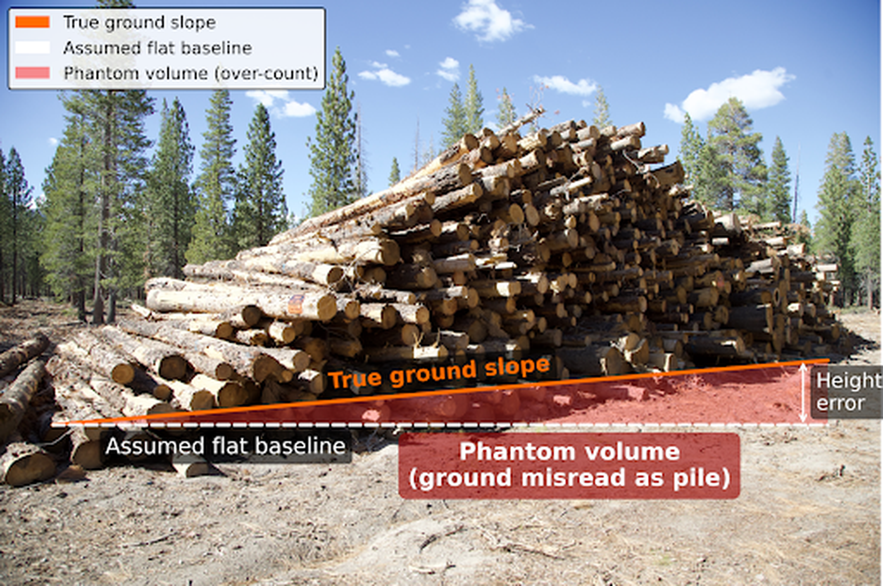 Piles of Potential: How Charm and Rebulk Are Tackling Biomass Inventory with AI
