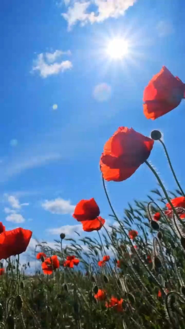 Video testimonial for Davonne, connecting with self-understanding.