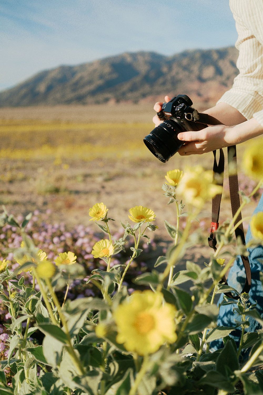FUJIFILM Shop USA | FUJINON XF16mmF1.4 R WR Key Features Explained