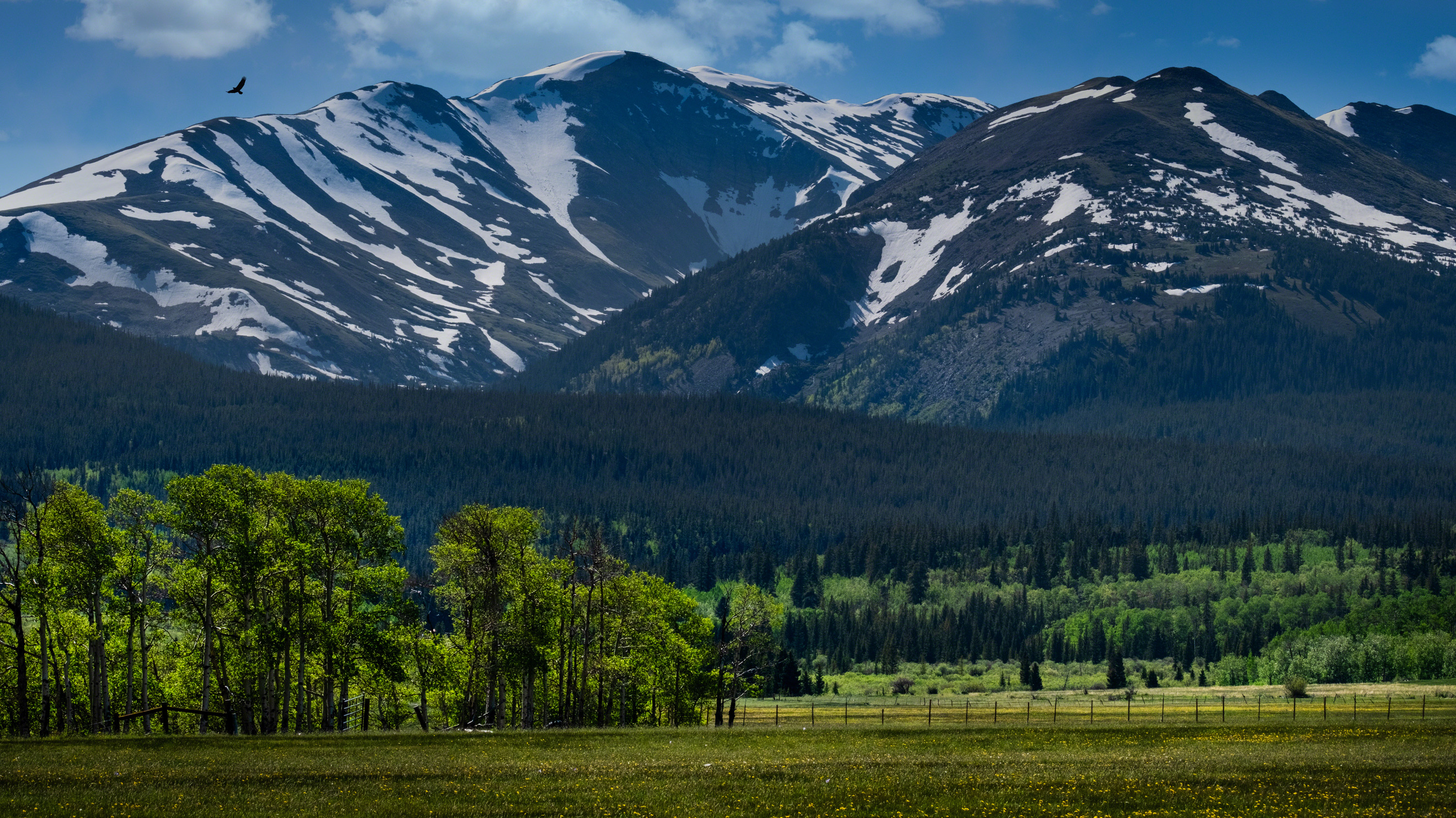 その他 FuX49 FUJIFILM Shop USA | Why FUJIFILM X-T5 Is Ideal for Outdoor