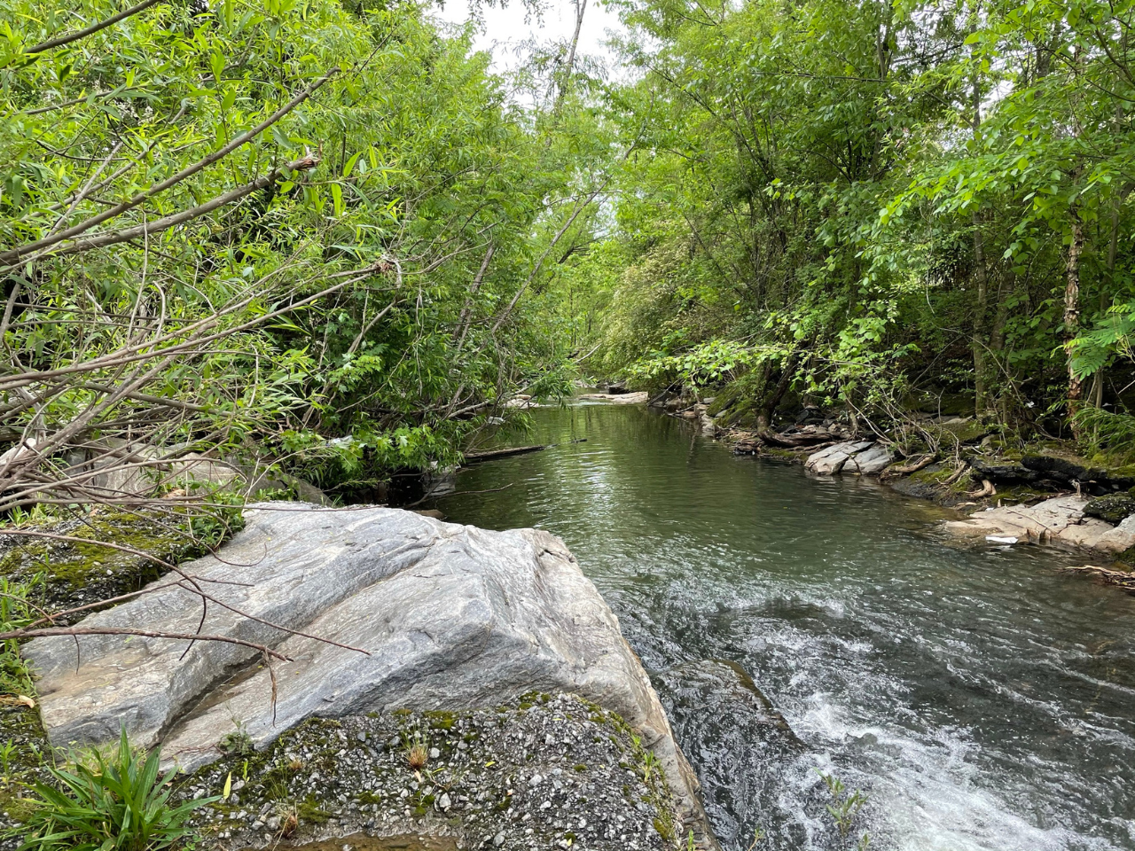 425 Chappell Road Site