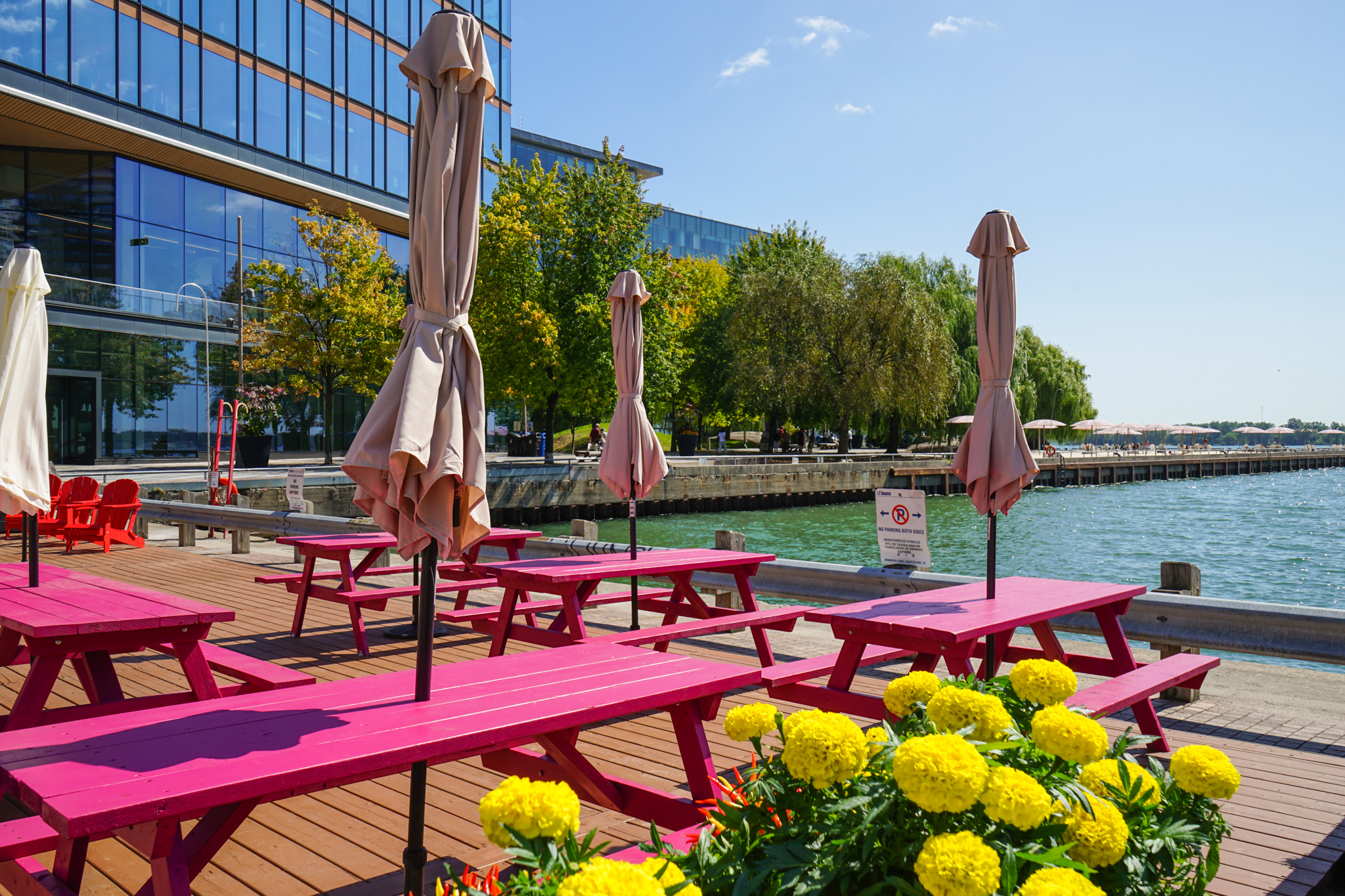 Pink picnic tables with closed umbrellas on a wooden deck by the waterfront, surrounded by yellow flowers and trees under a clear sky.