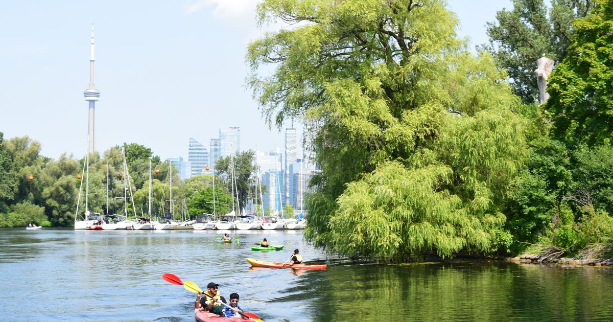 Kayaking, Canoeing & SUP — Waterfront BIA