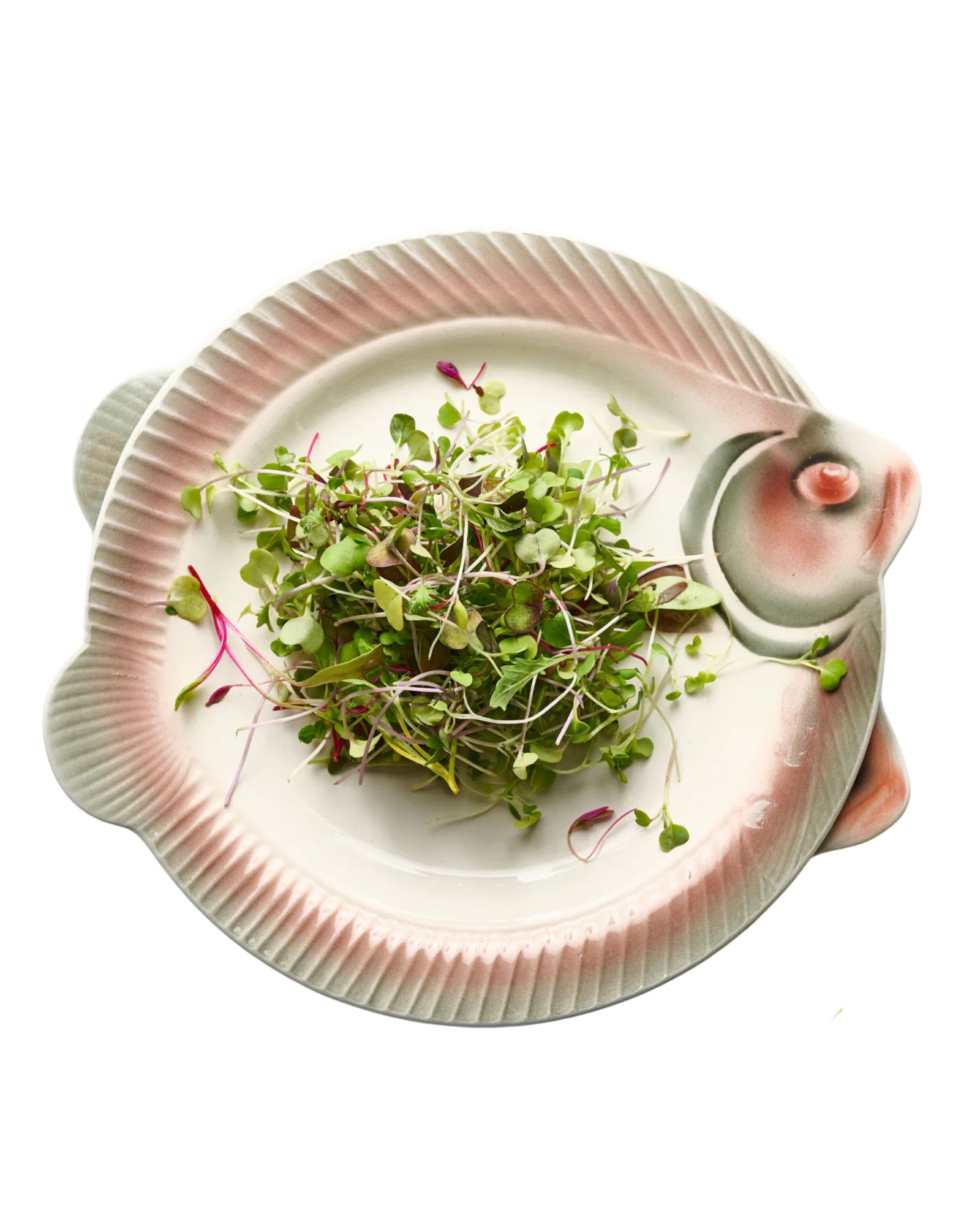 Vintage French Fish Plate