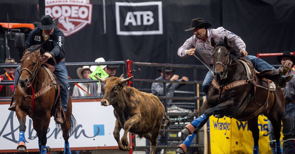 Canbe Rodeo We’re Ba-a-a-ck! … on the Leaderboard in Round Five — Canadian Finals Rodeo