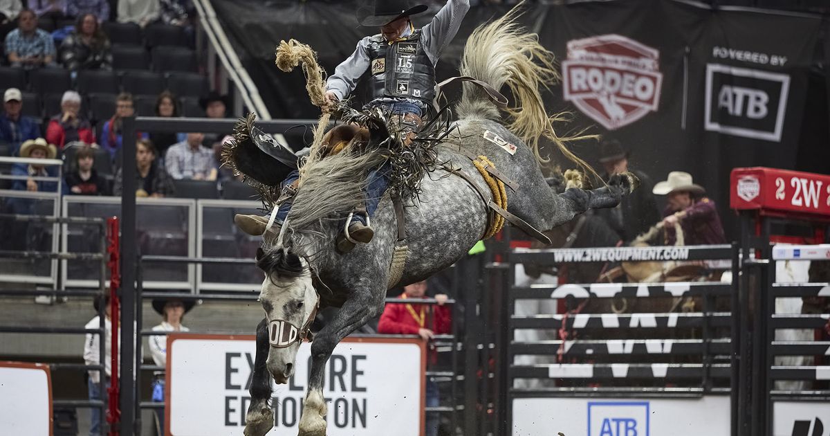 Trach Rodeo Stock Canadian Stock Have a Big-Time NFR Round One โ Canadian Finals Rodeo