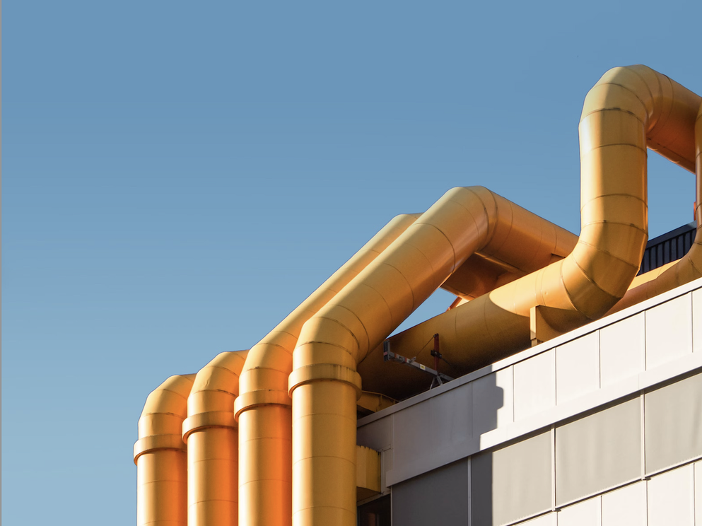 New Cuts to High-Quality Carbon Removal Projects Threaten to Send Innovators Abroad