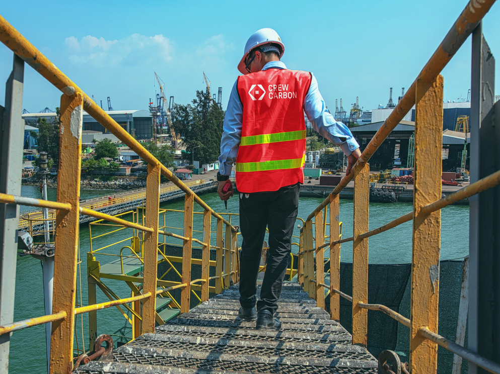 Carbon removal in New York