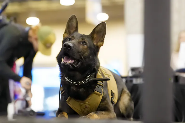 K9 demonstration at the NRF PROTECT Expo