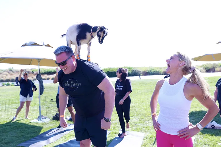 NRF Nexus attendees practicing yoga with a goat