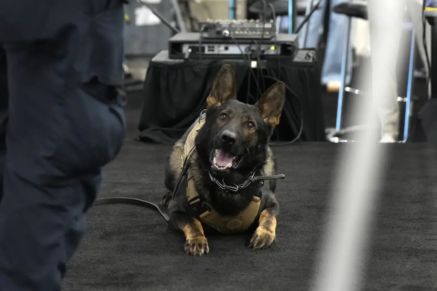 A German shepard dog, trained in security, gets ready to take the stage at NRF Protect.