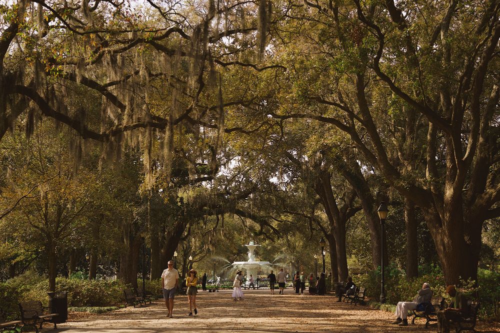 Municipal Grand Hotel, Savannah, GA. Forsyth Park is Just Minutes Away from The Municipal Grand Hotel