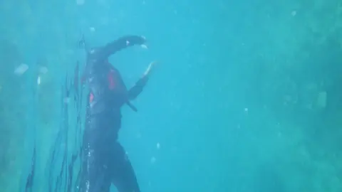 Snorkeling Experience