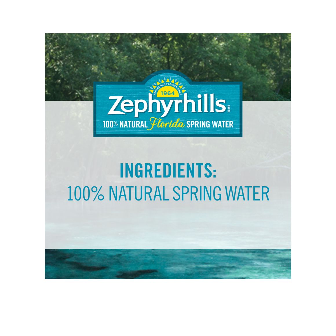 Zephyrhills® Florida Spring Water - 12 oz. - Bottle - Case of 24