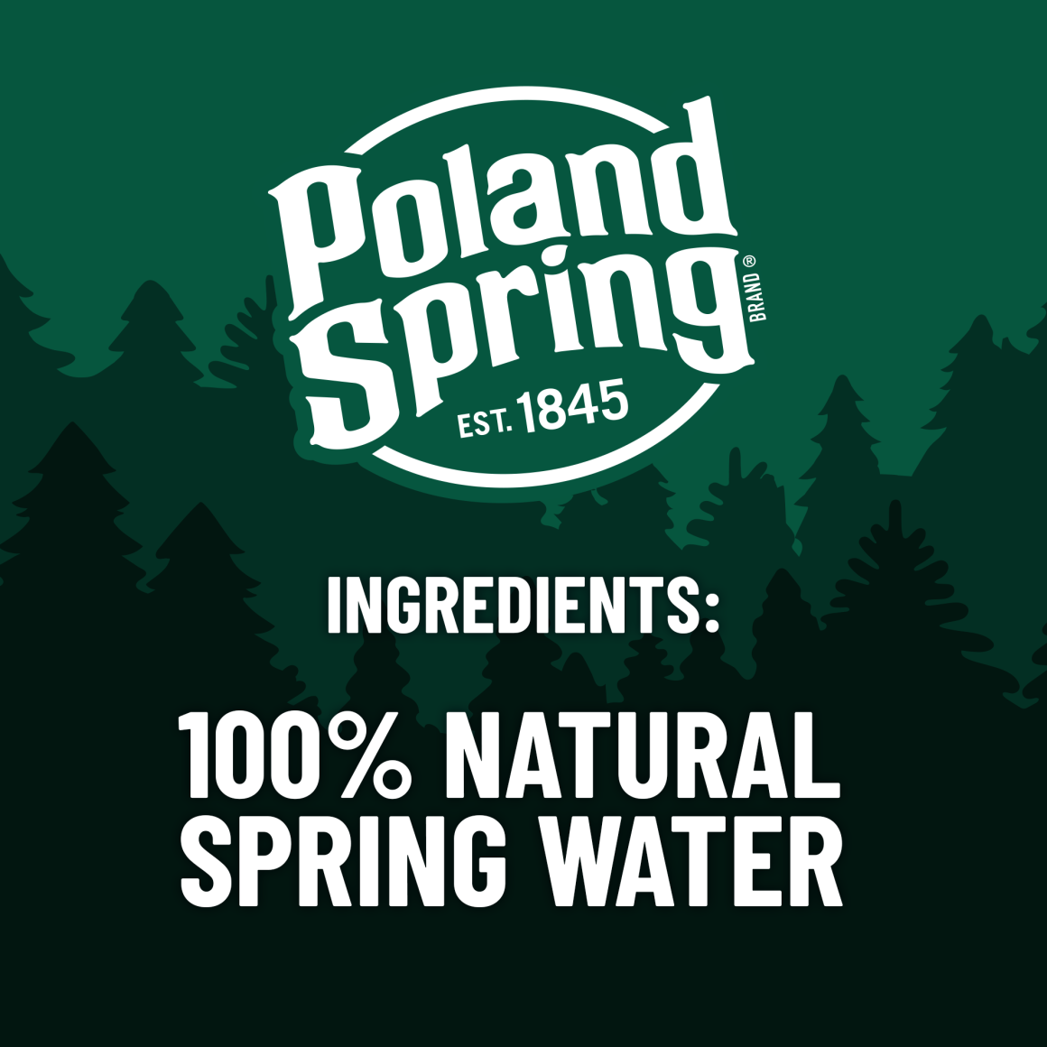 Poland Spring® 100% Natural Spring Water, 16.9 oz. Packs of 24, Pallet of 78 Cases