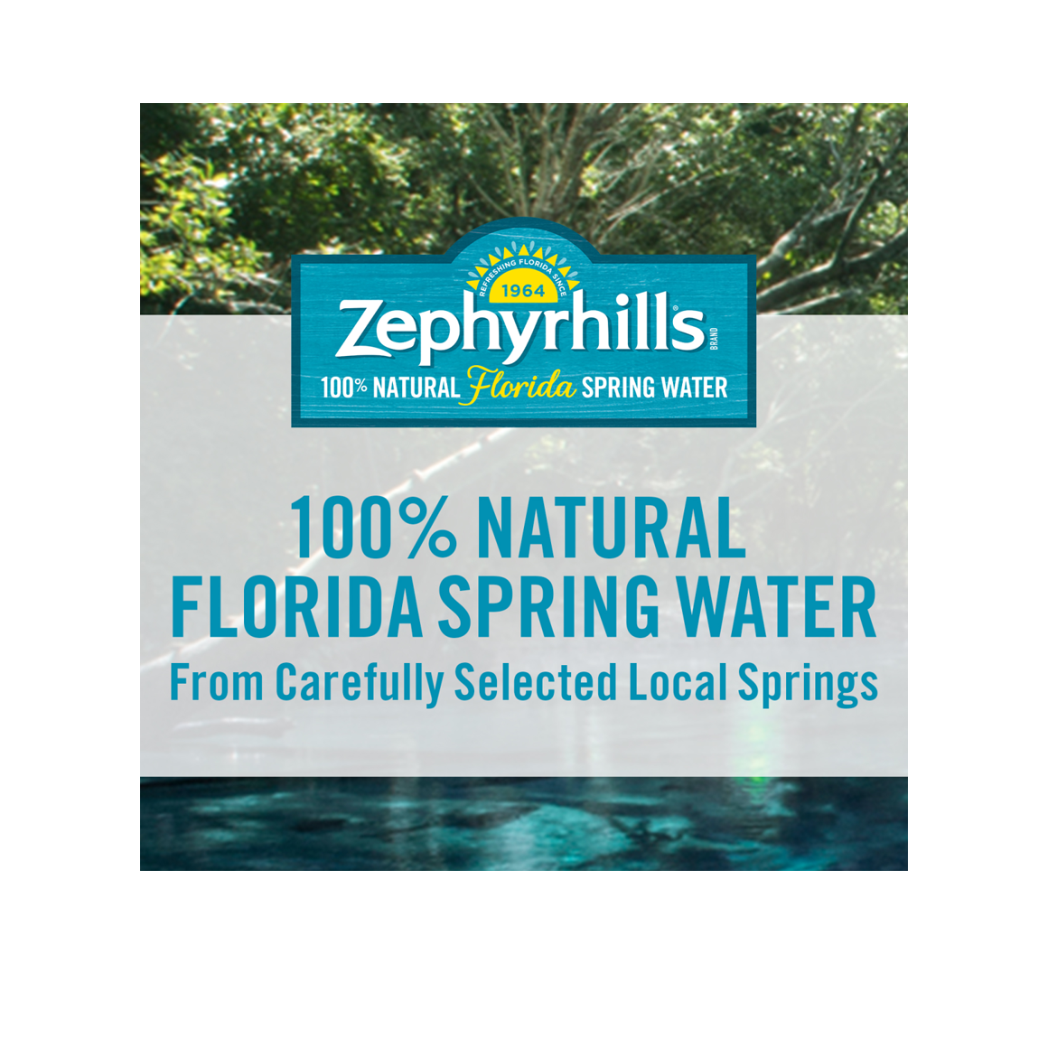 Zephyrhills® Florida Spring Water - 12 oz. - Bottle - Case of 24