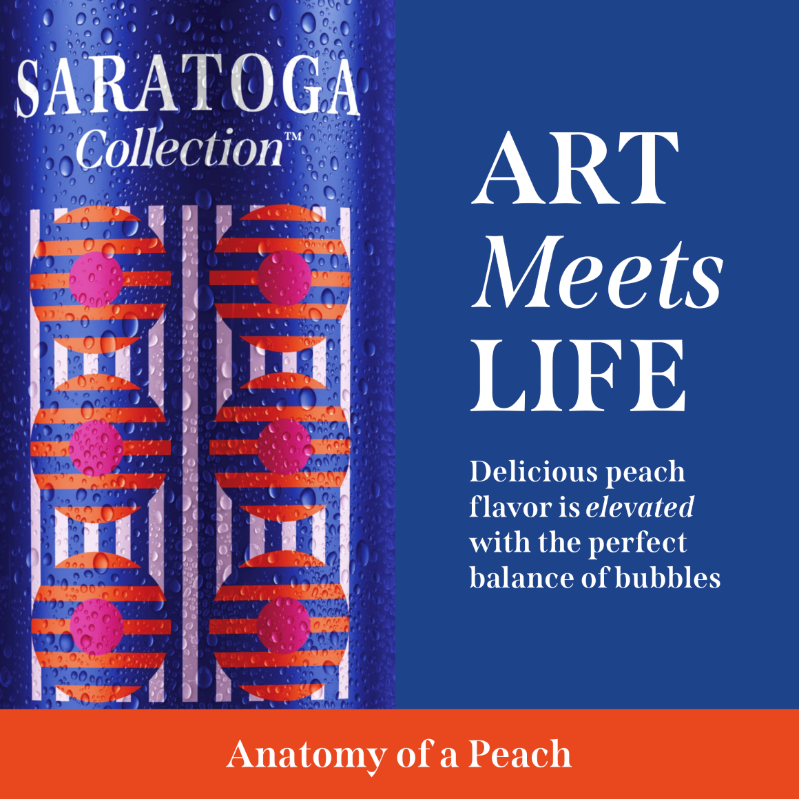 Saratoga Collection™ Anatomy of a Peach Flavored Sparkling Spring Water 4-6 Packs of 12 fl oz Cans